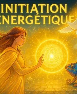 Bouclierdeprotectioncontrelensorcellement